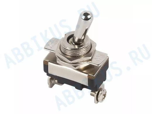 Тумблер 220V 10А (2c) ON-OFF однополюсный  Mini  REXANT