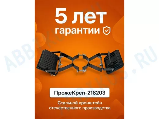 Кронштейн для двух прожекторов на трубу диаметром 89мм "ПрожеКреп-218203" сталь, черный, ширина 25мм