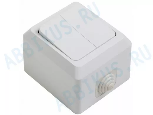 Выключатель  двухклавишный влагозащищенный открытой установки 10 А IP44 PROCONNECT