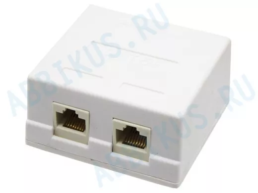 Розетка для витой пары 8р8c 2порта UTP 5  кат. накладная  2 порта BP030 (на блистере)